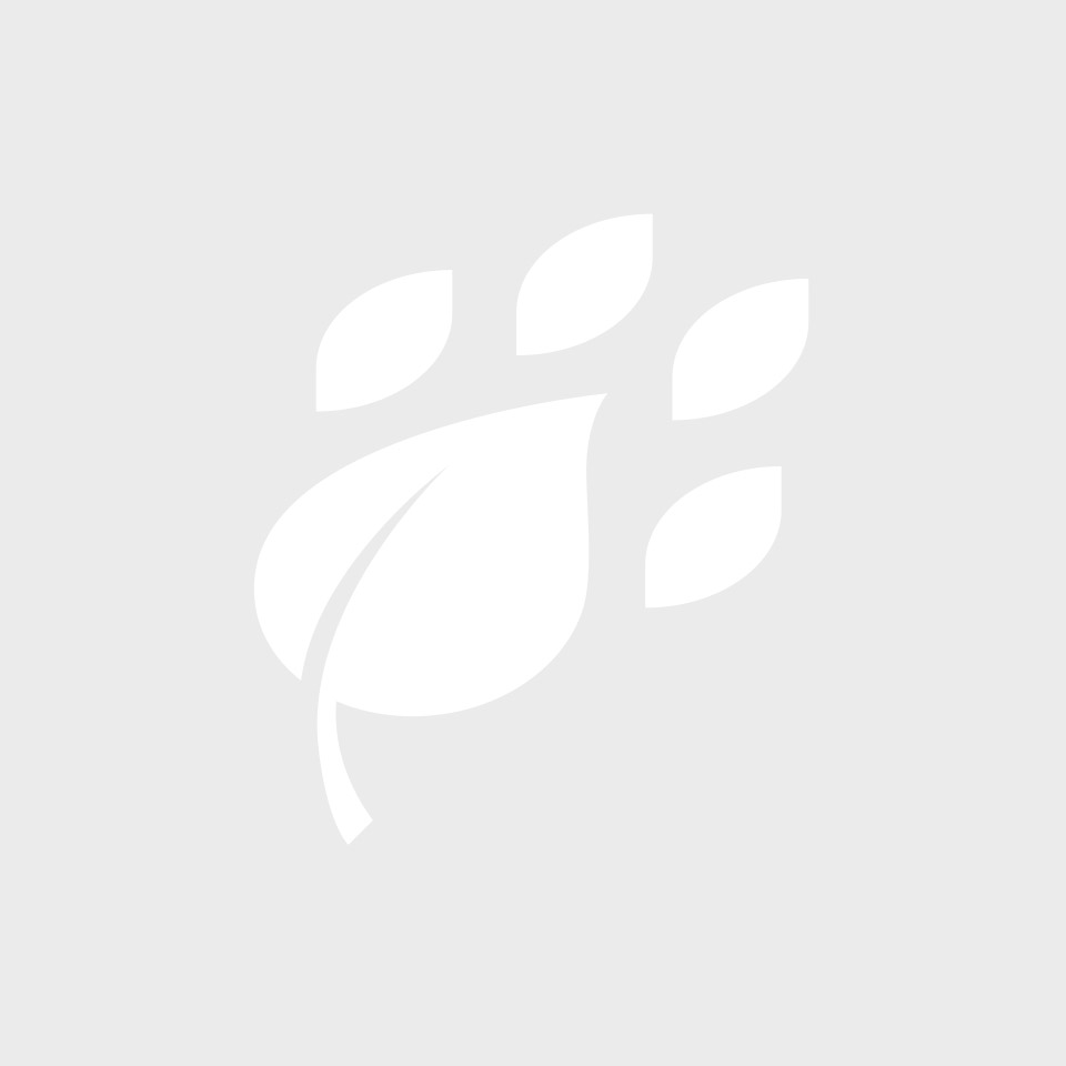 10 CHALET DU PETIT LAC HA HA!