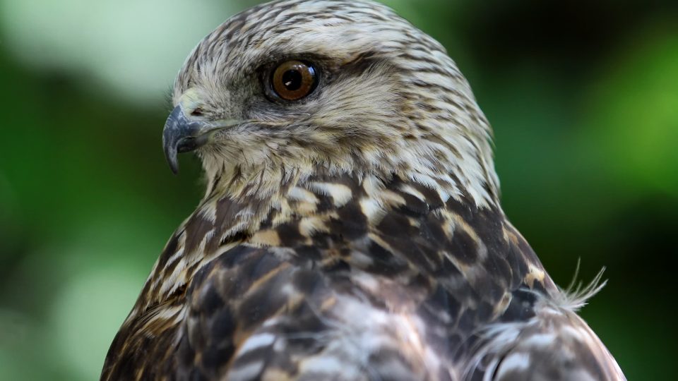 Comment t’appelles-tu ?