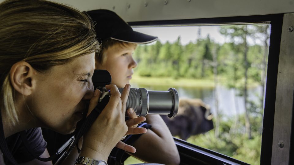 Balade en train grillagé
