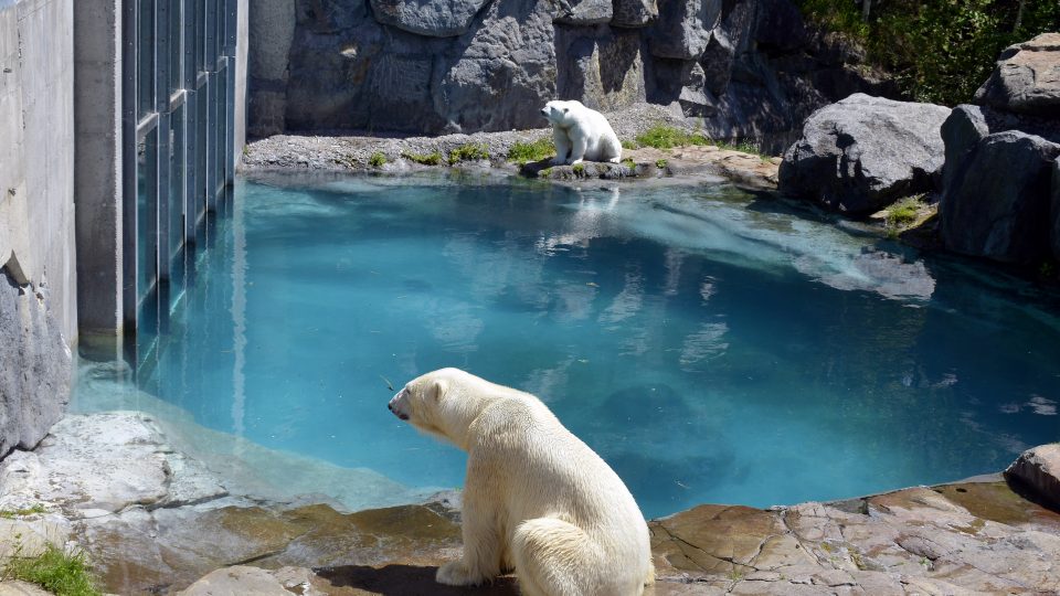 Citations et honneurs