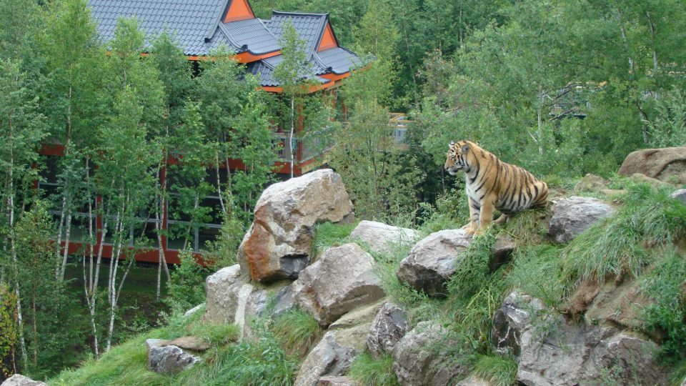 Aménagement d’habitats