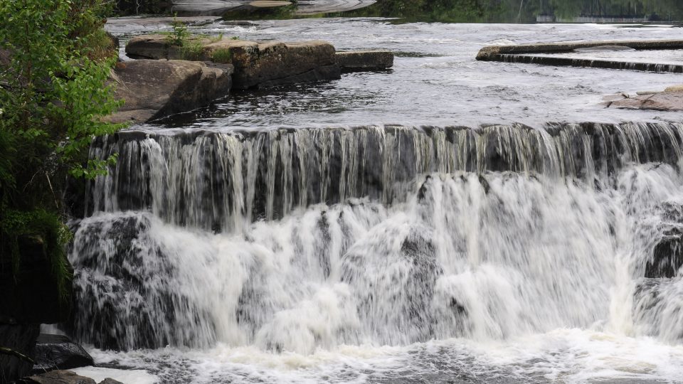 Politique de développement durable du Zoo sauvage de Saint-Félicien