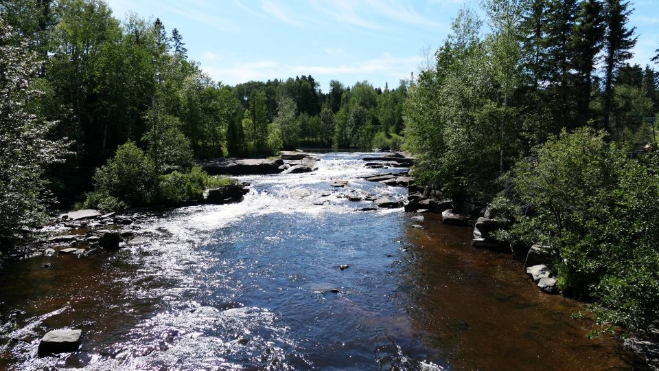 La rivière aux Saumons, une richesse pour la faune.