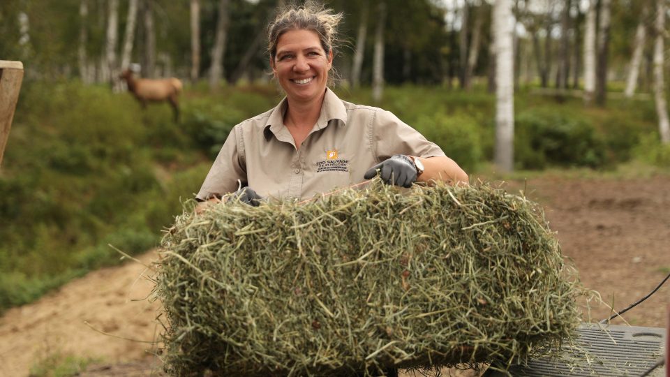 Gardien(ne) d’animaux sur appel